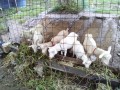 IMG_20250925_081021