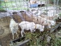 IMG_20250925_081033