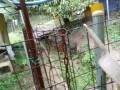 IMG_20250925_081036