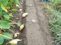 IMG_20250925_151630