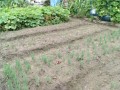 IMG_20250925_151701