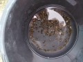 IMG_20250925_153405