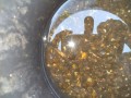 IMG_20250925_154717