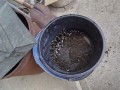IMG_20250925_170847