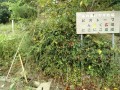IMG_20250926_092644