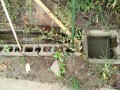IMG_20250926_092649