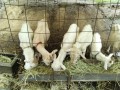 IMG_20250926_093129