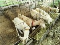 IMG_20250926_093148