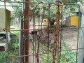 IMG_20250926_093200