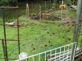IMG_20250926_093218