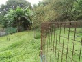 IMG_20250926_093220