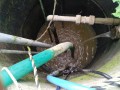 IMG_20250927_081947