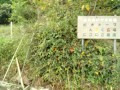 IMG_20250927_081957