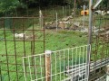 IMG_20250927_083052