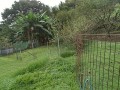IMG_20250927_083055