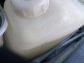 IMG_20250927_090326