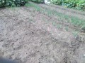 IMG_20250927_092716