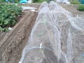 IMG_20250927_103304
