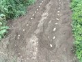 IMG_20250927_112040