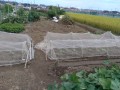 IMG_20250927_115251