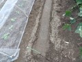 IMG_20250927_115256