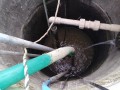 IMG_20250928_083137
