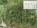 IMG_20250928_083148