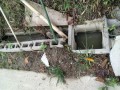 IMG_20250928_083152