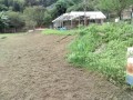 IMG_20250928_083231