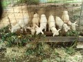 IMG_20250928_083520