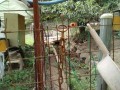 IMG_20250928_083538