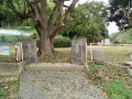 IMG_20250928_092053