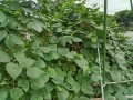 IMG_20250928_105334