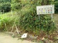 IMG_20250929_092946