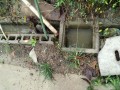 IMG_20250929_092954