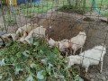 IMG_20250929_093756
