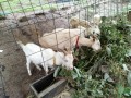 IMG_20250929_093806
