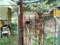 IMG_20250929_093809