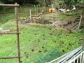 IMG_20250929_093835