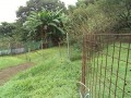 IMG_20250929_093838