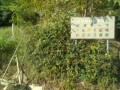 IMG_20250930_082502