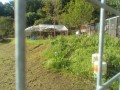 IMG_20250930_082532