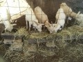 IMG_20250930_083014