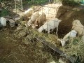 IMG_20250930_083022