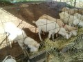 IMG_20250930_083031