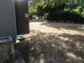 IMG_20250930_085726
