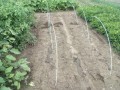 IMG_20250930_120416