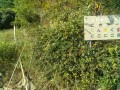 IMG_20251001_083125