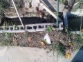 IMG_20251001_083131