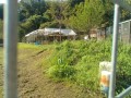 IMG_20251001_083200